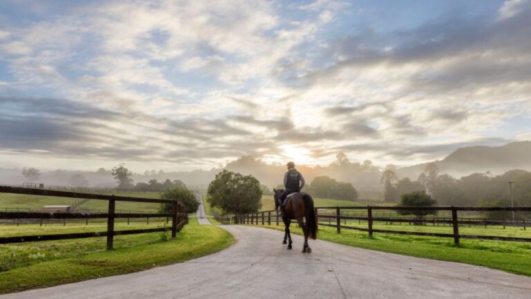 Equestrian