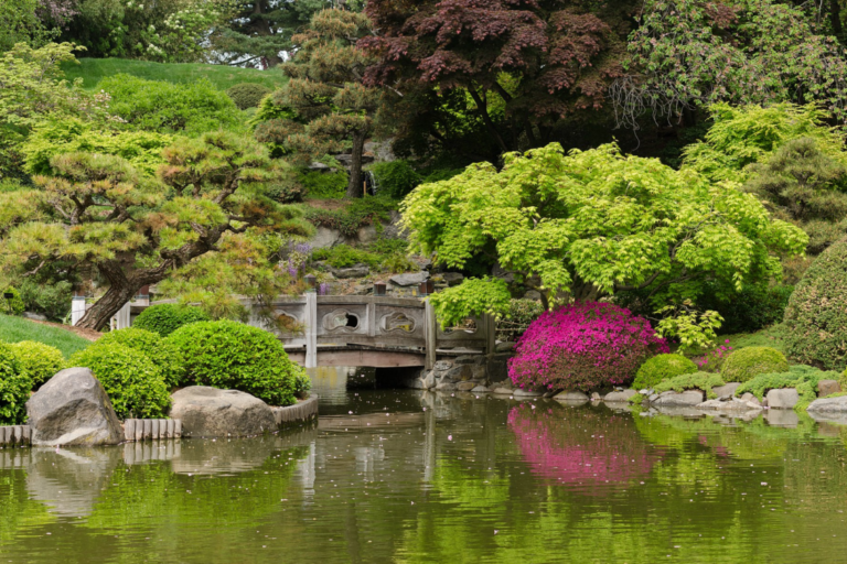 Brooklyn Botanical Garden 1100x733