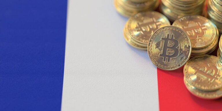 bitcoin france btc french flag gID 7